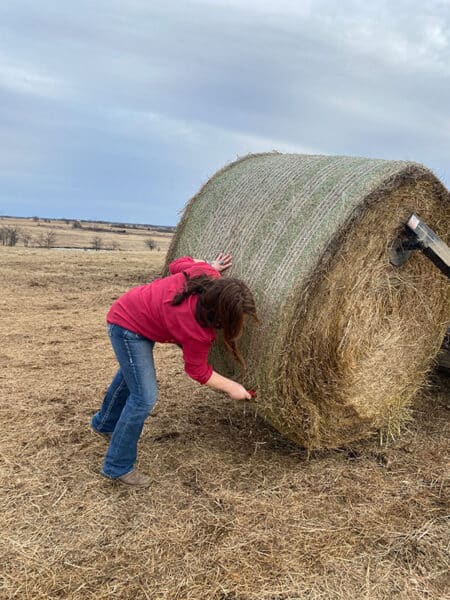 Cutting a bail of hay