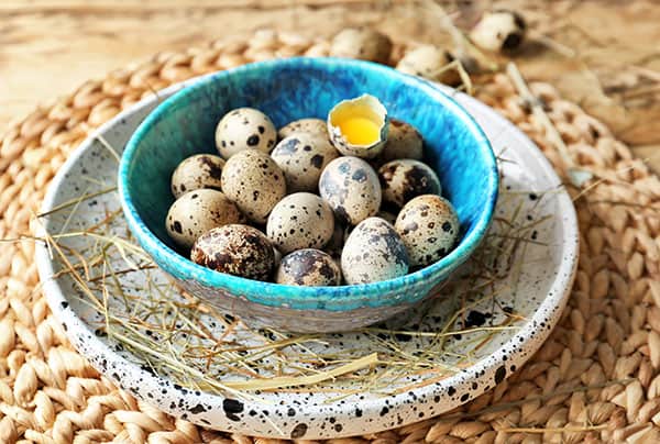 Farm Fresh Quail Eggs