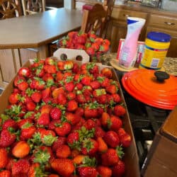 Horton's Strawberries